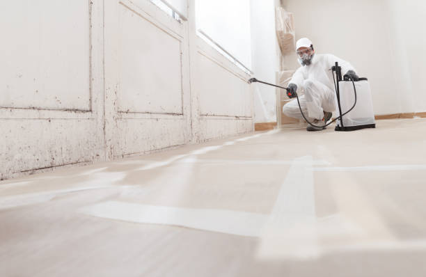 24/7 Emergency Mold Remediation experts in Riverdale, NJ